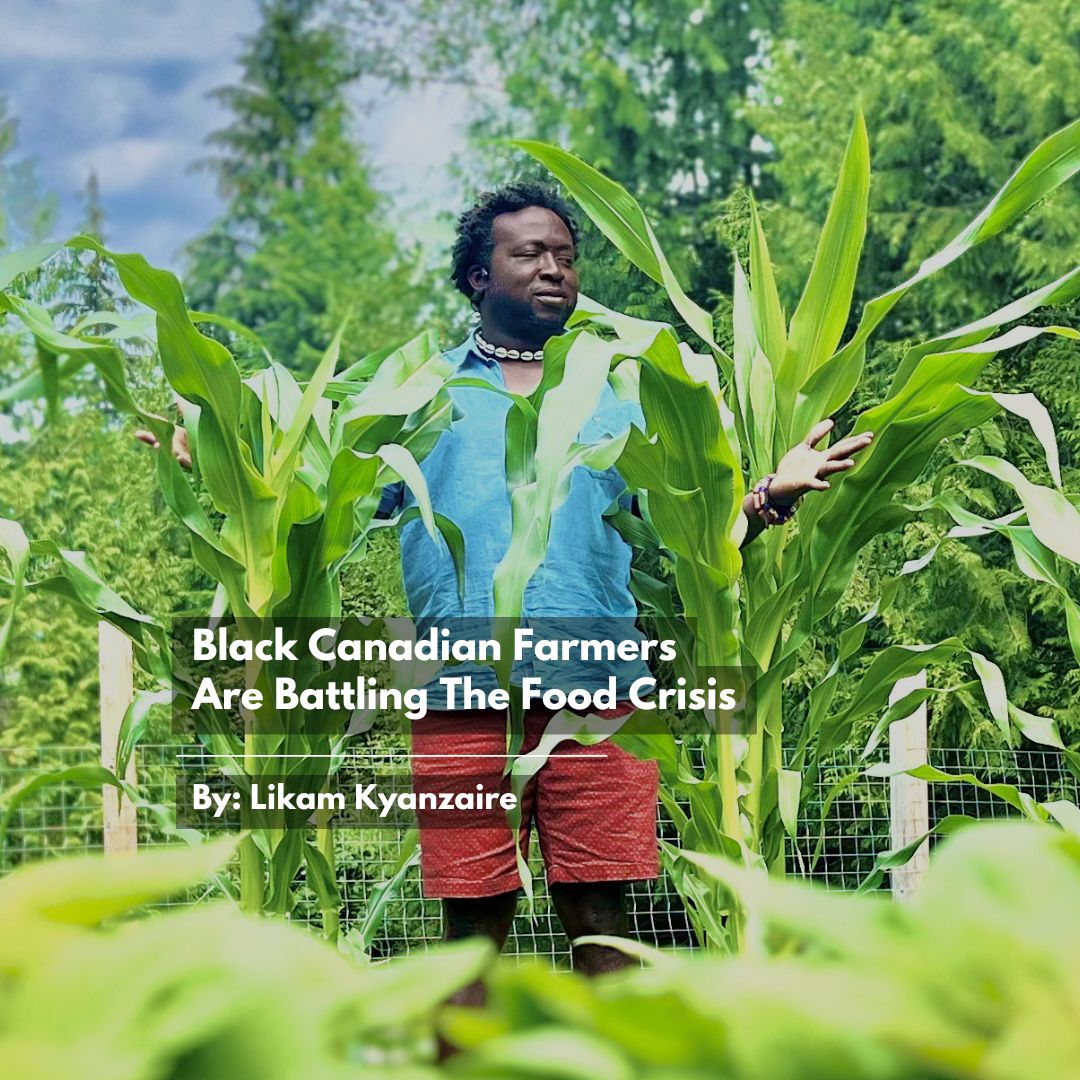 A farmer from his youth growing up in Nigeria, Toyin Kayo-Ajayi is unafraid of the Canadian hinterland. “Many migrants come from the bush (rural areas), but come to Canada and stay away. We need to change that thinking.” 

byblacks.com/news/item/3799…