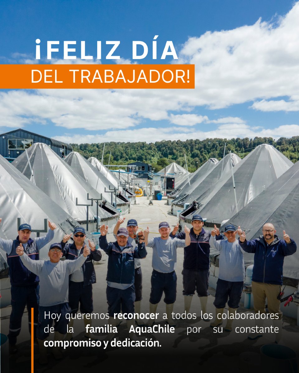 Hoy queremos reconocer a todos los colaboradores de la familia AquaChile por su constante compromiso y dedicación.