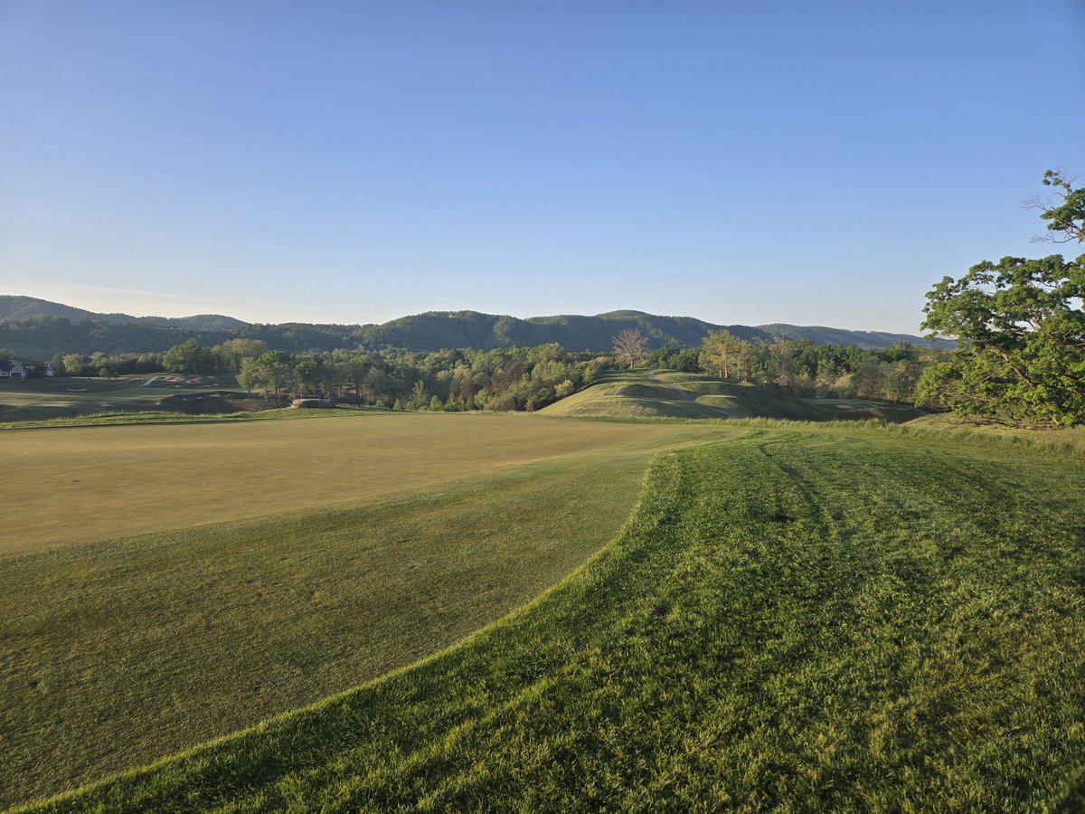 Brandon Miller 🇺🇲 tweet media