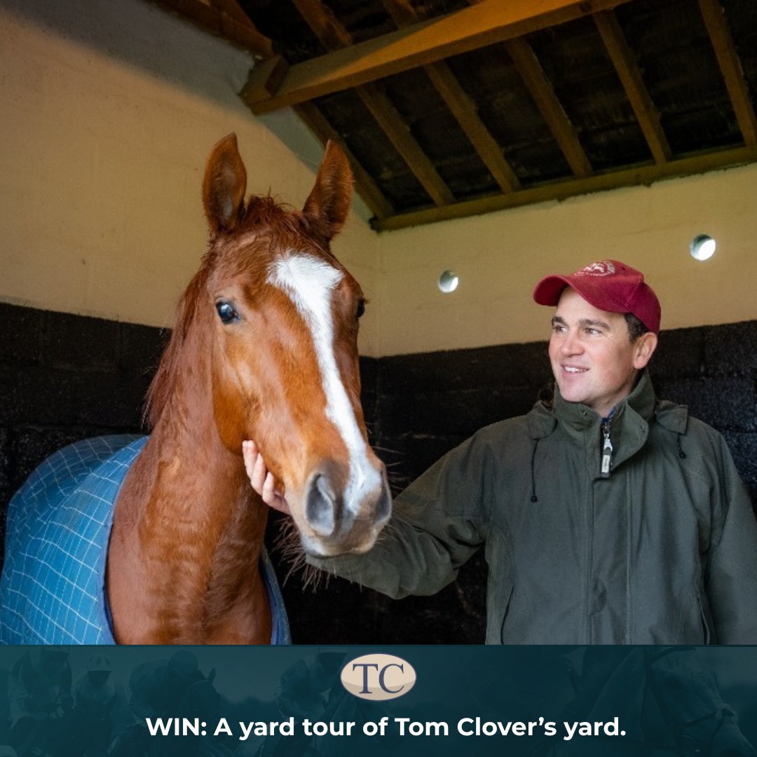 Old Gold Racing tweet media