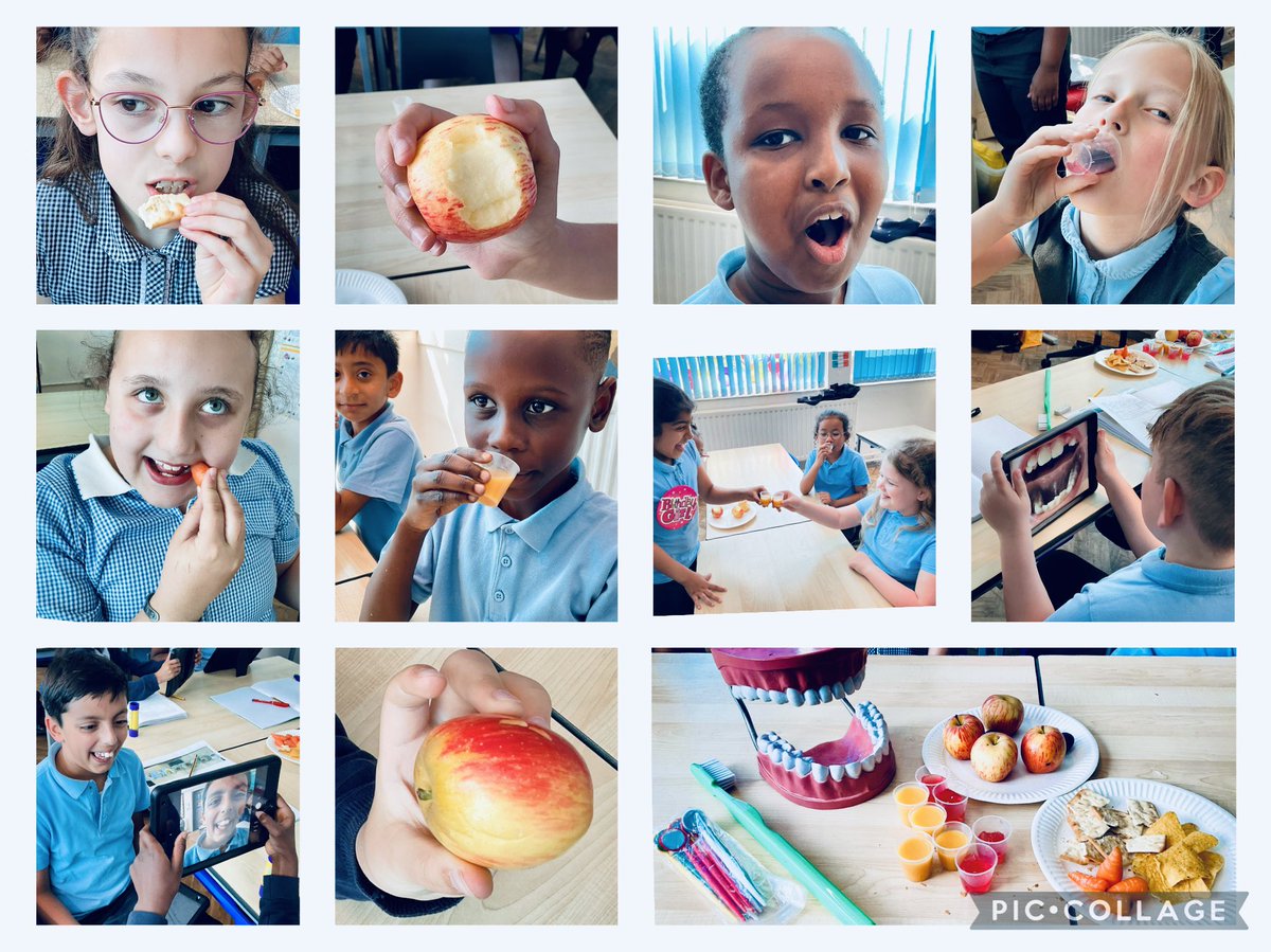 Brookvale Primary (@bps_b23) on Twitter photo Year 4 experimented with different foods to see which teeth (if any!) they used to eat their foods. They quickly realised they use more than one set! 🦷 <a href="/the_atlp/">The Arthur Terry Learning Partnership (ATLP)</a> Year 4 experimented with different foods to see which teeth (if any!) they used to eat their foods. They quickly realised they use more than one set! 🦷 <a href="/the_atlp/">The Arthur Terry Learning Partnership (ATLP)</a>
