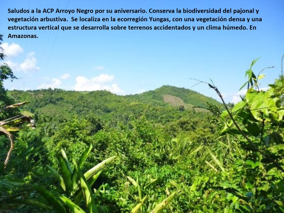 Salqa Perú (@salqaperu) on Twitter photo 