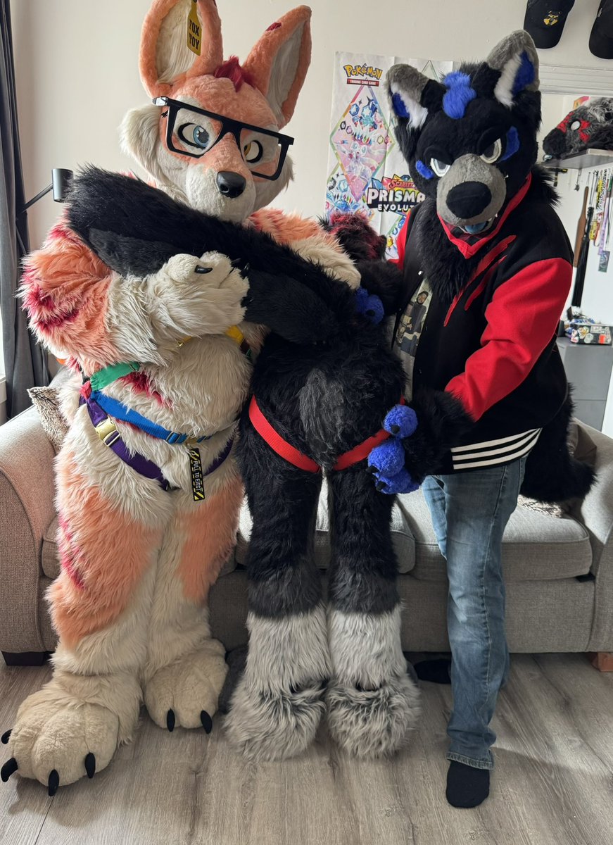 Who wants a piece of that big bad wolf cake 🍰
🦊:<a href="/MuzoFox/">Muzo Fox</a>
🐺:@koroad666
🐺:<a href="/SkywayWolf/">Skyway</a>

#furry #furries #fursuit #fursuiter #murrsuit #murrsuiter #fox #fennecfox #foxtoy #cute #paws #butt  #furryfandom #furrycommunity #naughty #wolf #wolfdog #cake