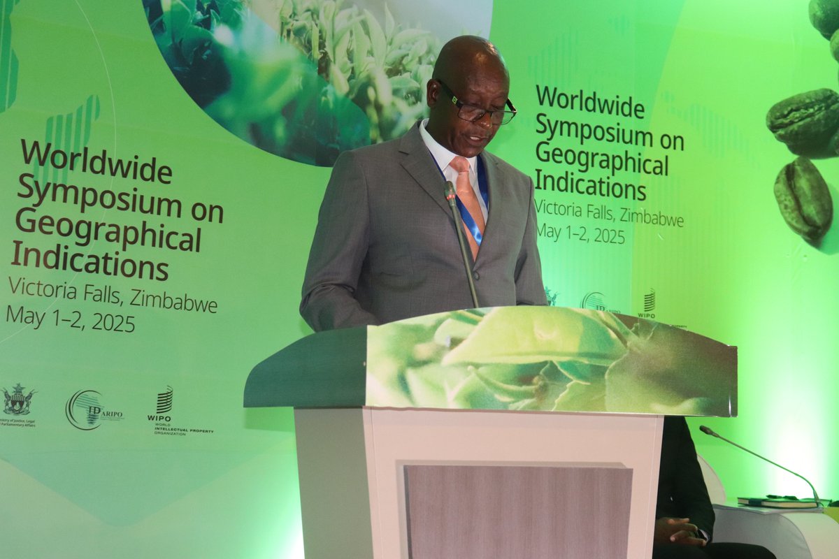 Dcip_zimbabwe tweet media