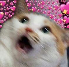 웬디님행복하시구또행복하시구또행복하시구영원히행복하세요제가조용히스스슥움직이는거같지만갑자기포옹을해주셔서저때의제마음속은