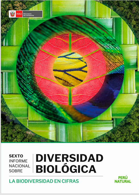 Salqa Perú (@salqaperu) on Twitter photo 