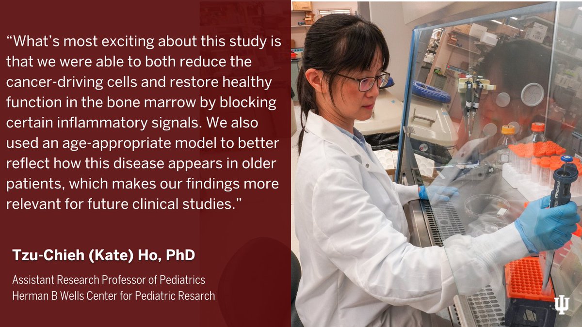 Herman B Wells Center for Pediatric Research (@iuwellscenter) on Twitter photo A study co-led by <a href="/IUMedSchool/">IU School of Medicine</a> researchers points to a promising new strategy for treating #MyelodysplasticSyndromes, a group of age-related blood disorders that can lead to #leukemia.
Read the news here: go.iu.edu/8tiV A study co-led by <a href="/IUMedSchool/">IU School of Medicine</a> researchers points to a promising new strategy for treating #MyelodysplasticSyndromes, a group of age-related blood disorders that can lead to #leukemia.
Read the news here: go.iu.edu/8tiV