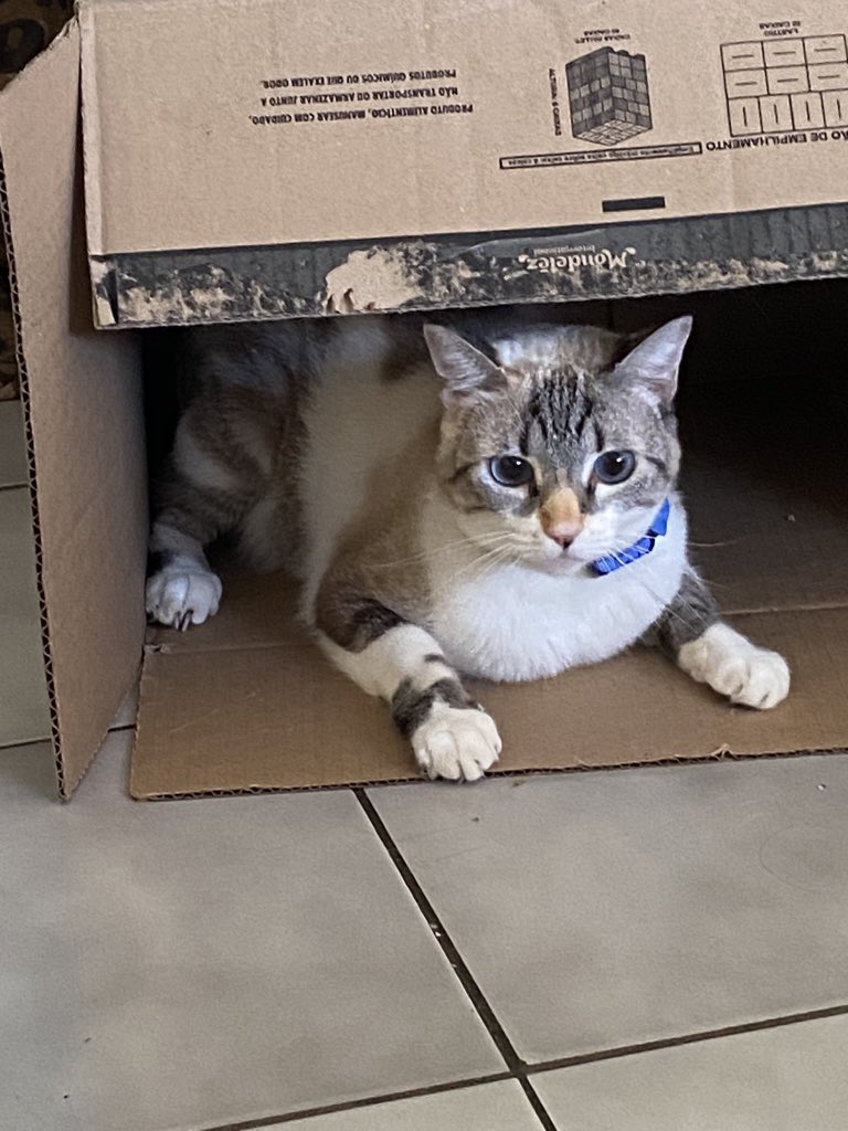 New bimbox to a bimbim