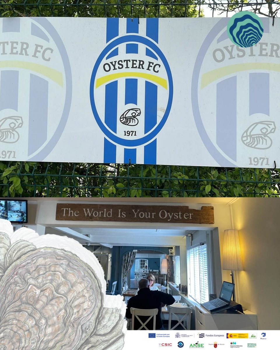 RemediOSproject's tweet image. 🧳 Parte del equipo de #RemediOS2 viaja a Essex… 🇬🇧 

👉🏽@FEstrellaLevan 
👉🏽@cbgobierno 

…para conocer cómo se restaura la 🦪 ostra plana en estuarios británicos

🔬 Encuentros con la @Uni_of_Essex, KEIFCA, la Agencia Ambiental y ostricultores locales 🧑🏻‍🌾