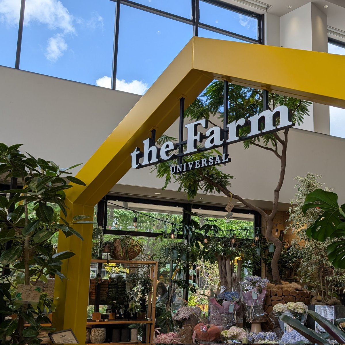 MimimiWith's tweet photo. 4月からかお世話になります
 #南町田グランベリーパーク にある #theFarm さんです。
ショッピングモール内にあるお店なので、いろいろなお買い物をしながら１日フラフラ遊べちゃいます。
しかも、ペット可のモールなのです！

#苔テラリウム
#Terrariums
#FeeltheGarden
#癒しの箱庭 https://t.co/Q9Ivfay3Kk