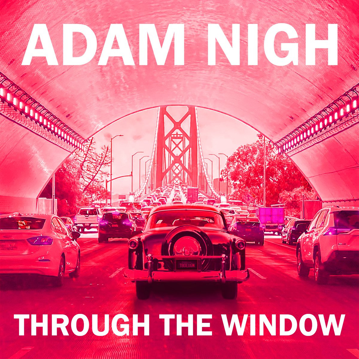 Adam Nigh tweet media