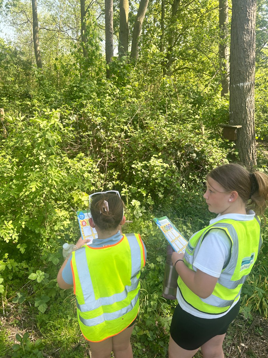 NeasdenPrimary's tweet photo. 4H had a fantastic time exploring the wild side of Tophill Low—discovering plants, spotting insects, and getting hands-on with nature! @HumberEdTrust https://t.co/q5u9yCesiC