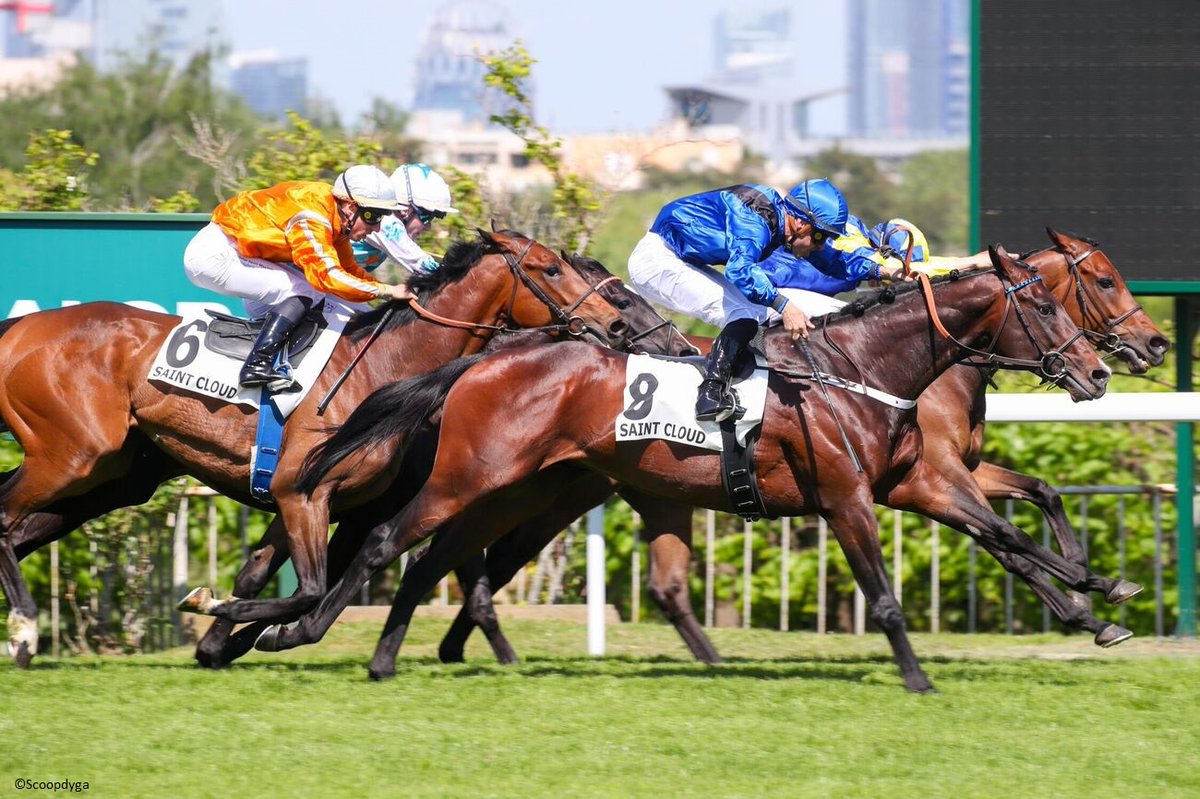 OSARUS (@osarussales) on Twitter photo ๐ฅ ๐๐๐๐๐๐๐ ๐๐๐๐
<a href="/OsarusSales/">OSARUS</a> graduate GUINESS STAR wins the Prix Sagaro (class 2) today at Saint Cloud for Alain Couetil, Fabrice Veron & Thierry Pigeon
โก๏ธ He was purchased as a yearling in 2021 by PB Bloodstock Services from Haras de Ceres
๐ธ #Scoopdyga ๐ฅ ๐๐๐๐๐๐๐ ๐๐๐๐
<a href="/OsarusSales/">OSARUS</a> graduate GUINESS STAR wins the Prix Sagaro (class 2) today at Saint Cloud for Alain Couetil, Fabrice Veron & Thierry Pigeon
โก๏ธ He was purchased as a yearling in 2021 by PB Bloodstock Services from Haras de Ceres
๐ธ #Scoopdyga