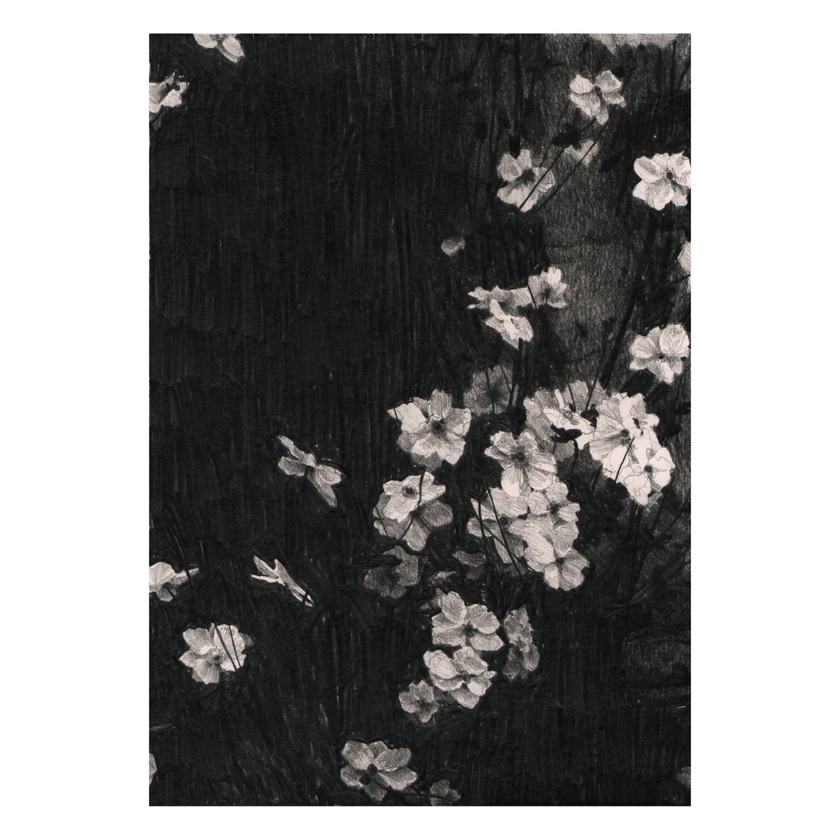 scott (@underwaterlad) on Twitter photo 