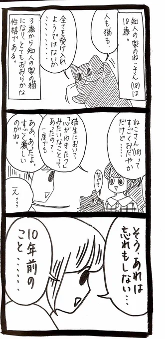 大好きな猫のことをずっと忘れない猫の話1 