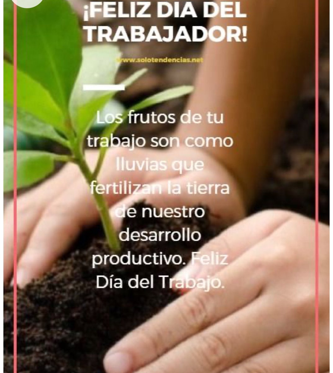 Anabella Nahem (@selectaredes) on Twitter photo 