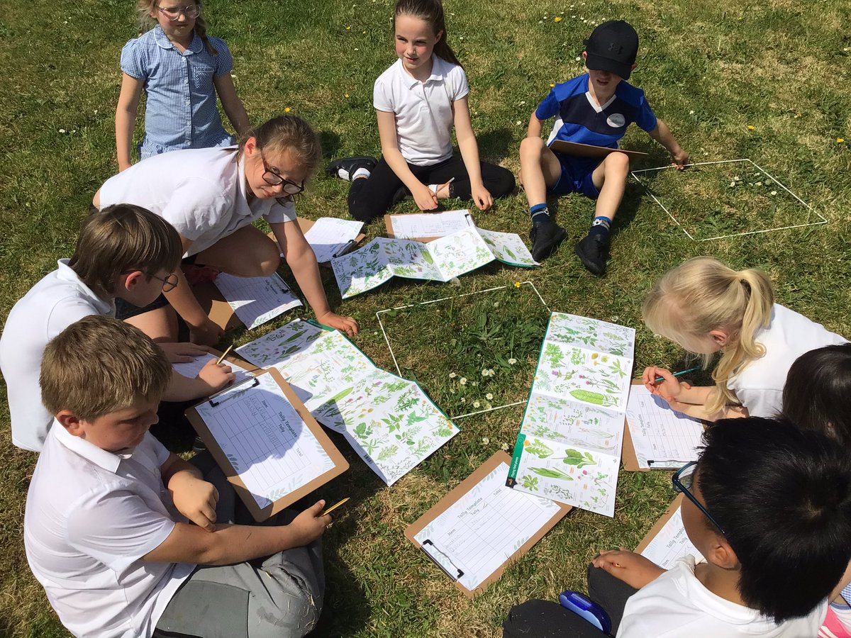 Year 3 have been busy budding botanists ! They’ve been creating tally charts to explore plant diversity in our local area - combining maths with nature ! #OutdoorLearning #MathsInNature #LearningThroughDiscovery #PlantDiversity #stem
