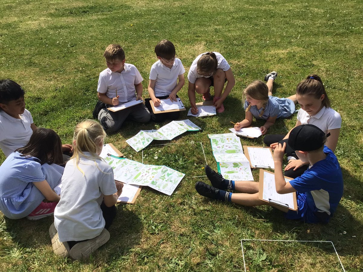 BPortPrimary's tweet photo. Year 3 have been busy budding botanists ! Theyโve been creating tally charts to explore plant diversity in our local area - combining maths with nature ! #OutdoorLearning #MathsInNature #LearningThroughDiscovery #PlantDiversity #stem https://t.co/0QpP2mXL0z