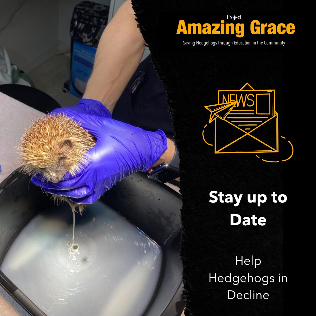 Join others who care for our special hedgehogs and sign up to our newsletter. Stay up to date with our latest news and campaigns and find out how you can help hedgehogs in your community. Follow the link and scroll to the bottom to add your email 🦔🍃👉 gracethehedgehog.co.uk
