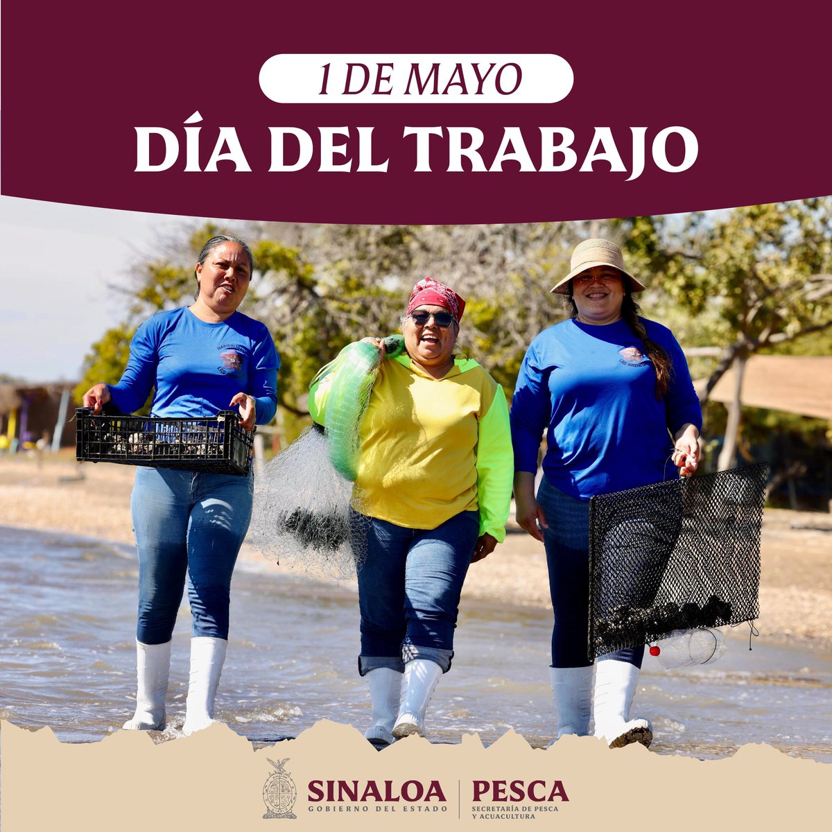 📆Hoy, 01 de mayo, conmemoramos el Día Internacional del Trabajo. Desde esta Secretaría, reconocemos y valoramos el esfuerzo diario de las mujeres y los hombres que, con dedicación y compromiso, impulsan el sector de la Pesca y la Acuacultura. #SinaloaEsPesca 🎣
