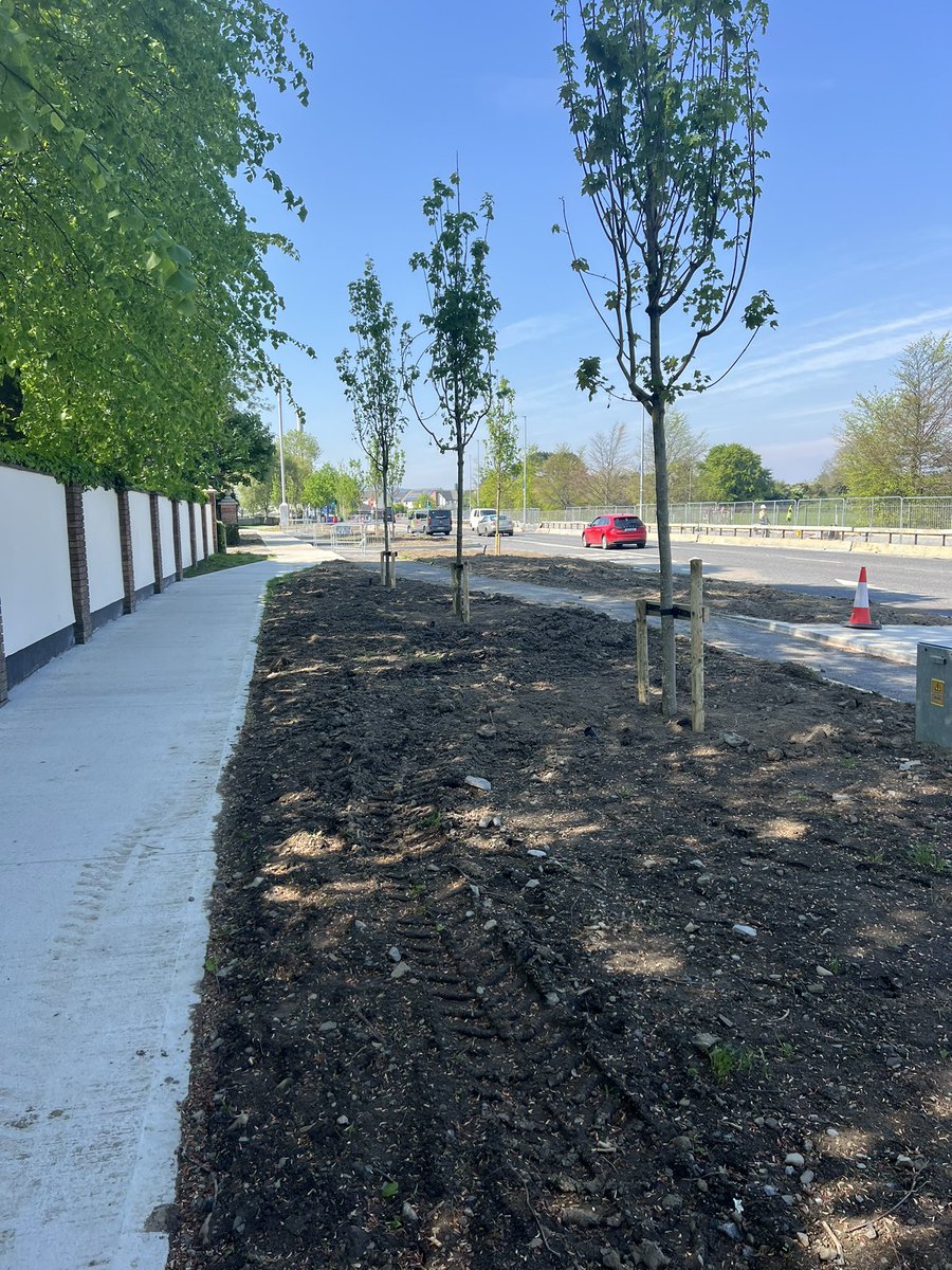 John Williams (@johnwil01919961) on Twitter photo Great to see beautiful new trees just planted along Firhouse Rd! Lets hope these ones will not be vandalised! <a href="/sdublincoco/">SDCC</a> <a href="/ciaranahern/">Ciarán Ahern TD</a> <a href="/JohnLahart/">John Lahart TD</a> Great to see beautiful new trees just planted along Firhouse Rd! Lets hope these ones will not be vandalised! <a href="/sdublincoco/">SDCC</a> <a href="/ciaranahern/">Ciarán Ahern TD</a> <a href="/JohnLahart/">John Lahart TD</a>