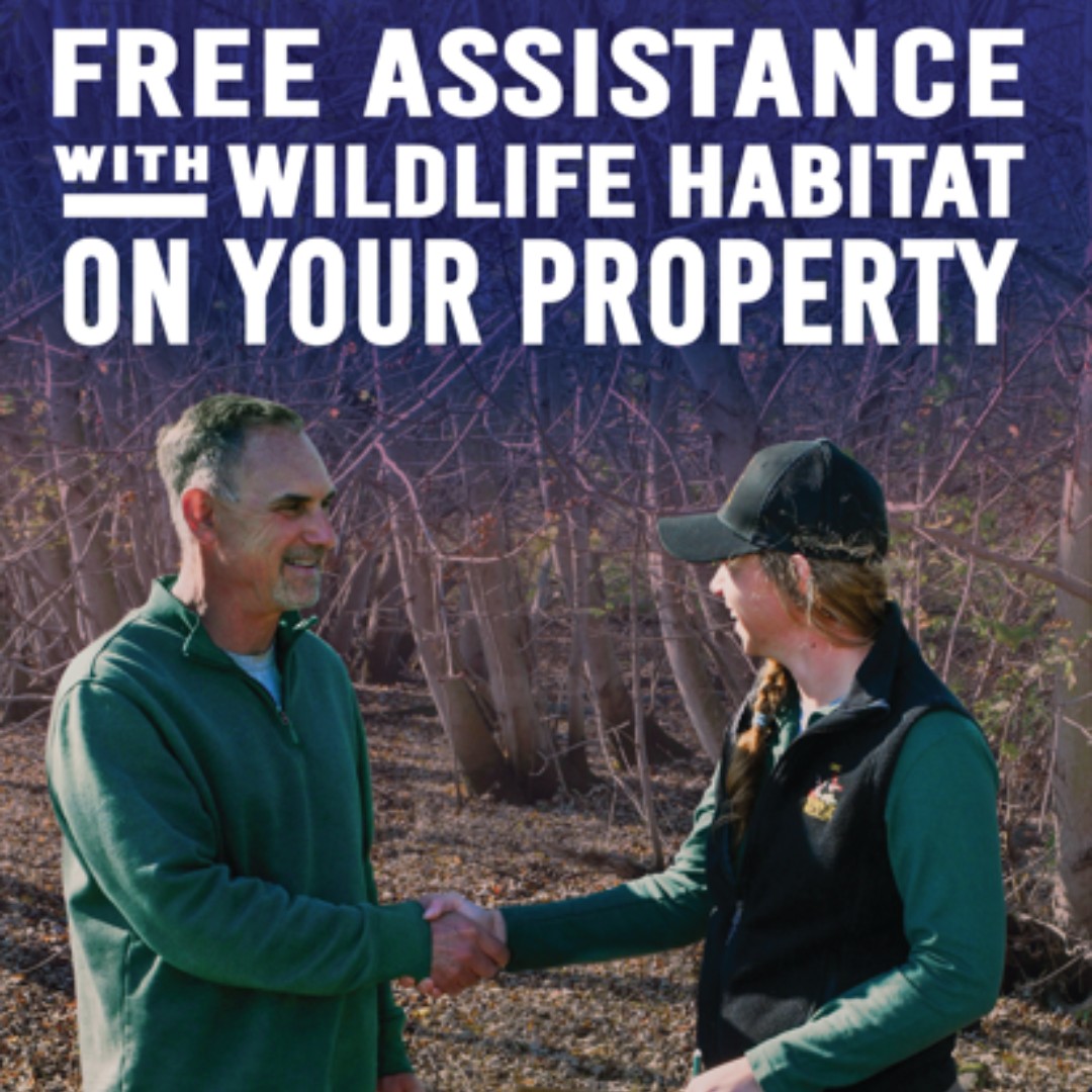 🌳 Contact your local Wildlife Management Consultant for personalized information on managing your land, from stream corridors to pastures, prairies, woodlands and urban landscapes: ow.ly/zyIJ50VLjuI
