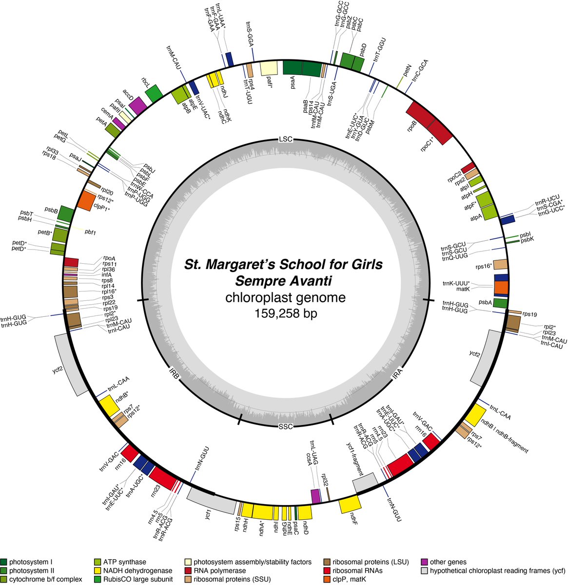 Beaulieu Biology (@beaulieubio) on Twitter photo Look at this <a href="/StMegsAbdn/">St Margaret's School for Girls</a> Your student's have done a phenomenal job! <a href="/DaffDNA/">The Daffodil DNA Project</a> <a href="/royalsociety/">The Royal Society</a> #partnershipgrants Ms Miller must be so proud Look at this <a href="/StMegsAbdn/">St Margaret's School for Girls</a> Your student's have done a phenomenal job! <a href="/DaffDNA/">The Daffodil DNA Project</a> <a href="/royalsociety/">The Royal Society</a> #partnershipgrants Ms Miller must be so proud
