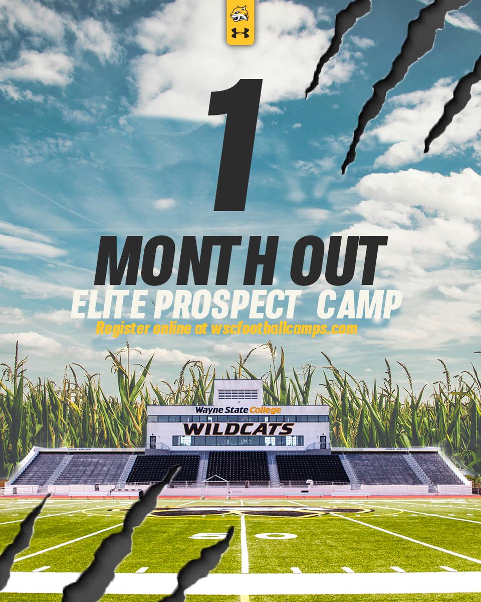 🚨ONE MONTH AWAY! May 31st, come out and compete at the PAW! 🚨

🐯🐾🔥 wscfootballcamps.com 

#ForThePaw #BLACKxGOLD #PawUp26
