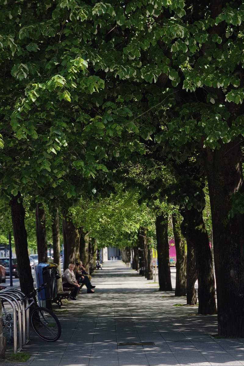 #Zumardia #Udaberria #Orereta #Errenteria