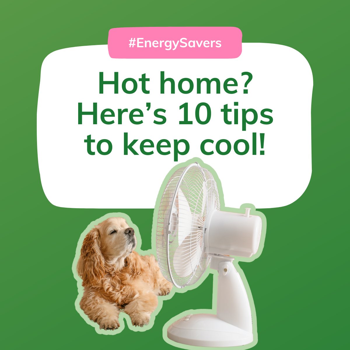 CREWEnergyLDN's tweet image. Home too hot? 🏡☀️
You may be aware of the risks of cold homes, but heatwaves can be just as dangerous. So it’s important to make your home a place to escape from the heat.
Read our guide for 10 top tips ➡️ crewenergy.london/blog/how-to-he…