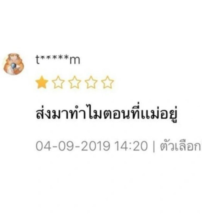 bear tweet media