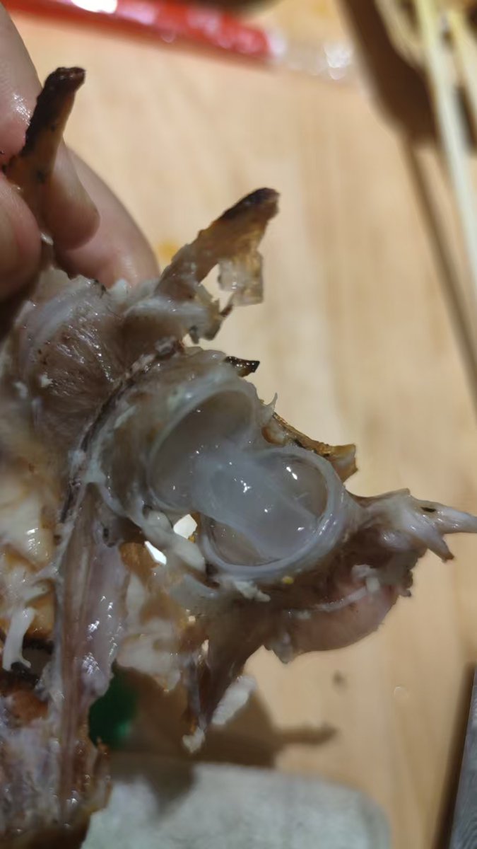 51的运动目标，跑步3.3公里到烧鸟点喝了两个扎啤，吃了点烤鱼，然后跑3.3公里回来！🏃‍♂️🏃‍♂️🏃‍♂️

这样算收支平衡嘛？？？🥁🥁🥁