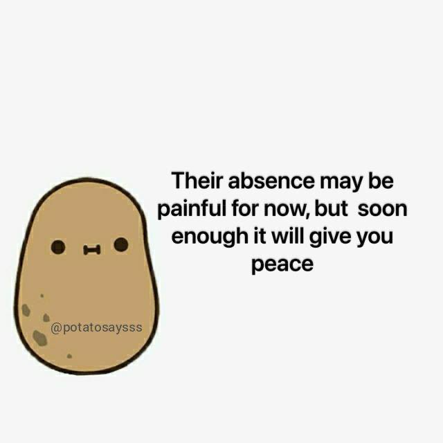 potatosaysss's tweet photo. https://t.co/XLzUTKaMgp