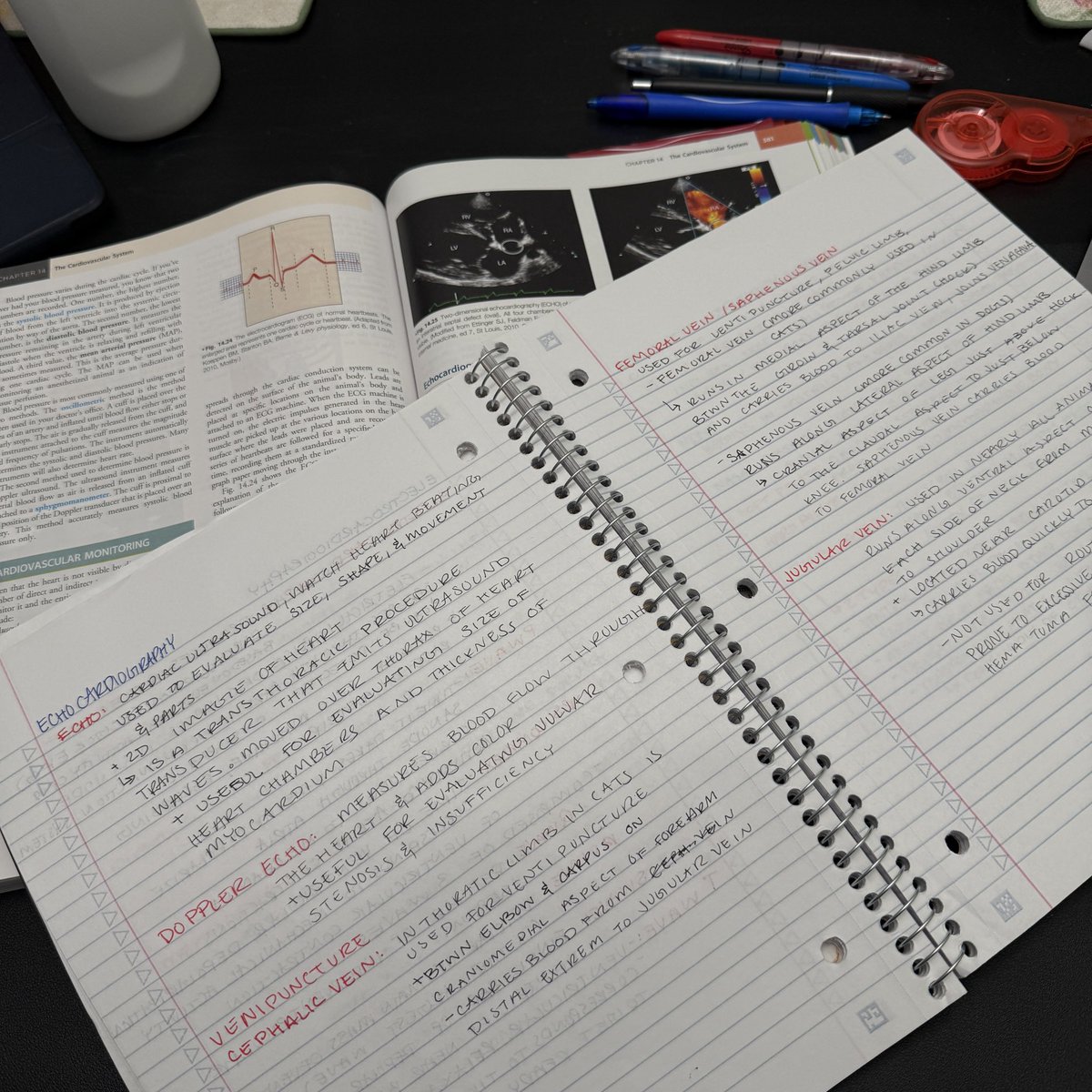 NessiesNotes's tweet image. Gmmm #studytwt !!
2 exams today 🫠 so nervous 😵‍💫