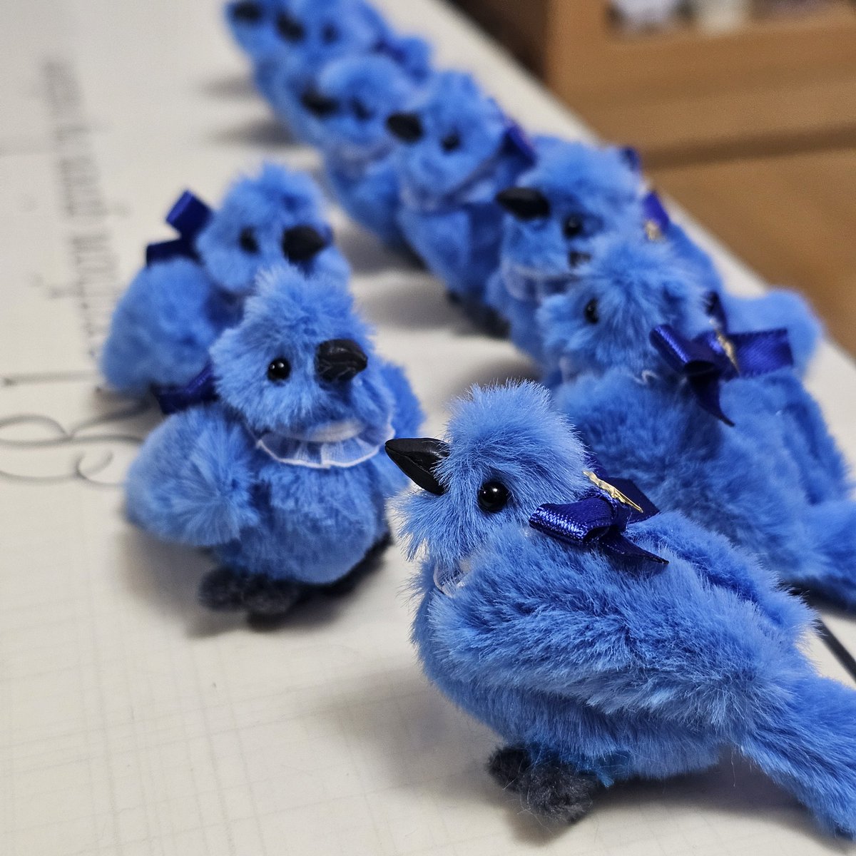 파랑새 군단💙