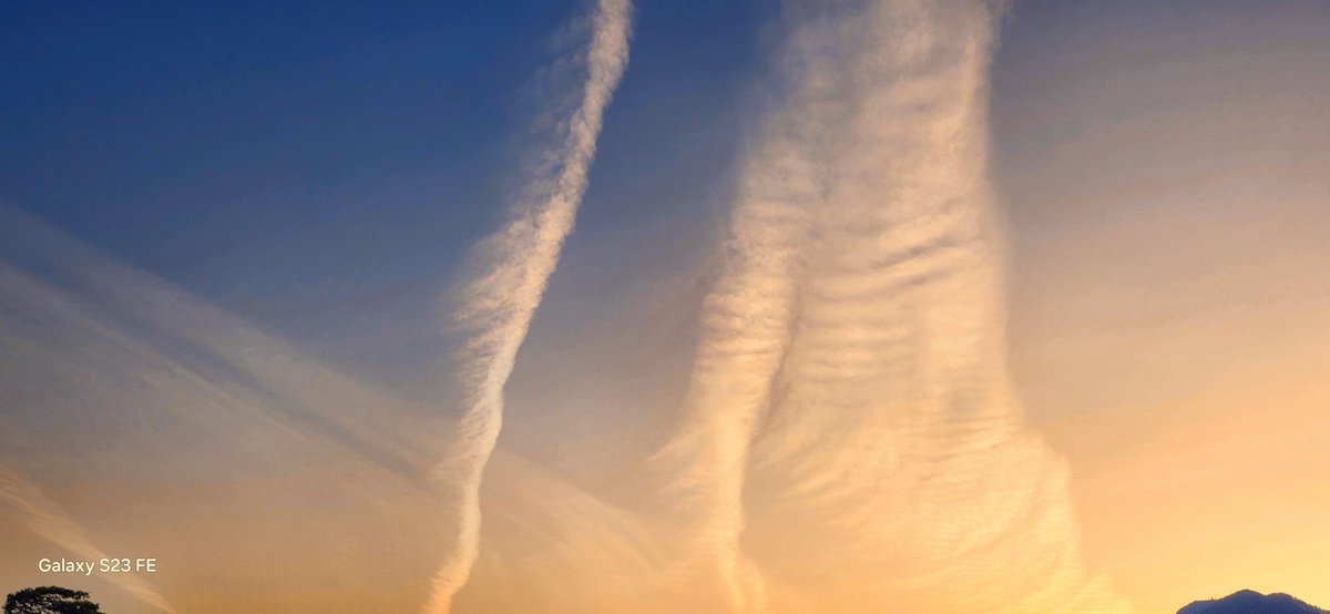 5月になりました！
皆様元気でお過ごしでしょうか？
私は、カラダはアレだけど元気ですw
新緑の季節あっ…しんねこ🤫の季節がやってきましたよ♪

5月４日(日)　11:00Start
～来夢～
この機会に是非、しんねこと出逢ってほしいです♪
そして一緒にイベントを楽しみましょう♡
facebook.com/events/s/%E6%9…