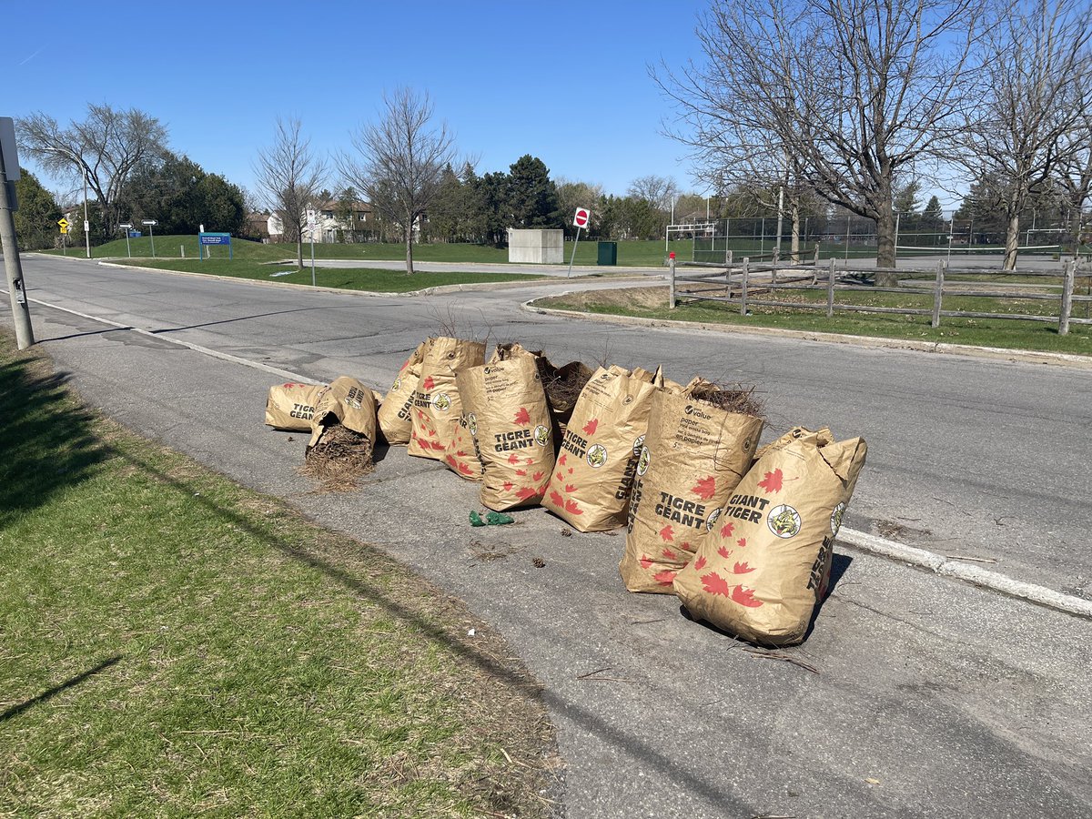 Adriana Porcari (@porcari30) on Twitter photo Good morning <a href="/_MarkSutcliffe/">Mark Sutcliffe</a> can you please explain to my students and I why the city of Ottawa is refusing to pick up our school yard leaf waste that we worked so hard in cleaning for part of cleaning the capital? #cityofottawa Good morning <a href="/_MarkSutcliffe/">Mark Sutcliffe</a> can you please explain to my students and I why the city of Ottawa is refusing to pick up our school yard leaf waste that we worked so hard in cleaning for part of cleaning the capital? #cityofottawa