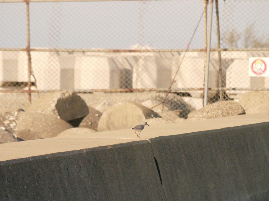 おーす (@authorizingauth) on Twitter photo 