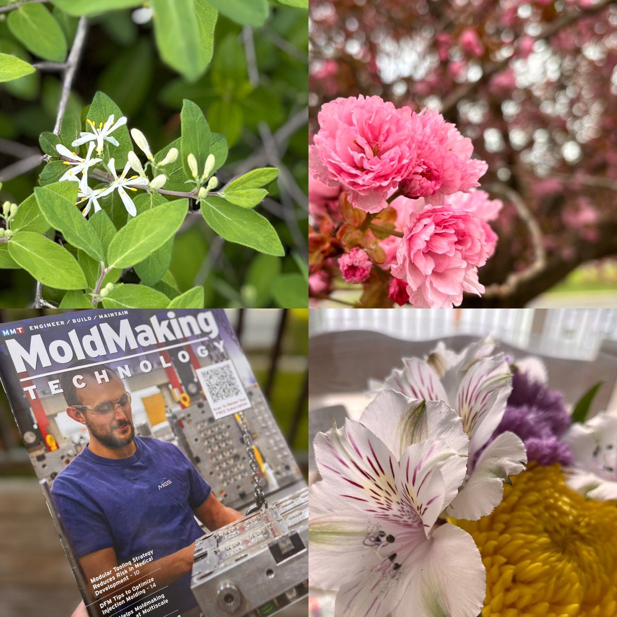Christina Fuges (@mmt_christinaf) on Twitter photo Happy May! To get your <a href="/MMTMag/">MoldMakingTechnology</a> May issue content click below.
gardner.dragonforms.com/loading.do?ome… Happy May! To get your <a href="/MMTMag/">MoldMakingTechnology</a> May issue content click below.
gardner.dragonforms.com/loading.do?ome…