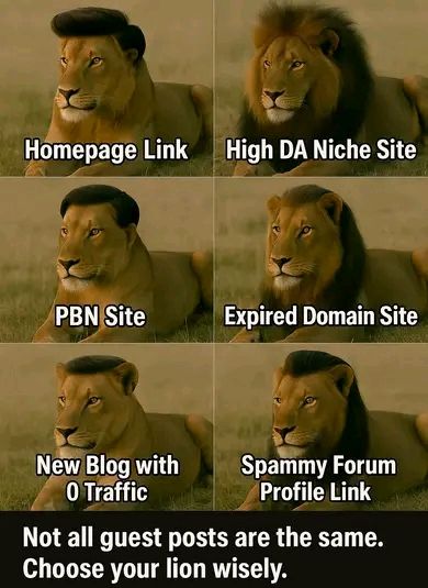 Not all backlinks roar the same. Choose your lion wisely — because SEO isn't just about links, it's about quality links. #SEO #BacklinkStrategy #DigitalMarketing