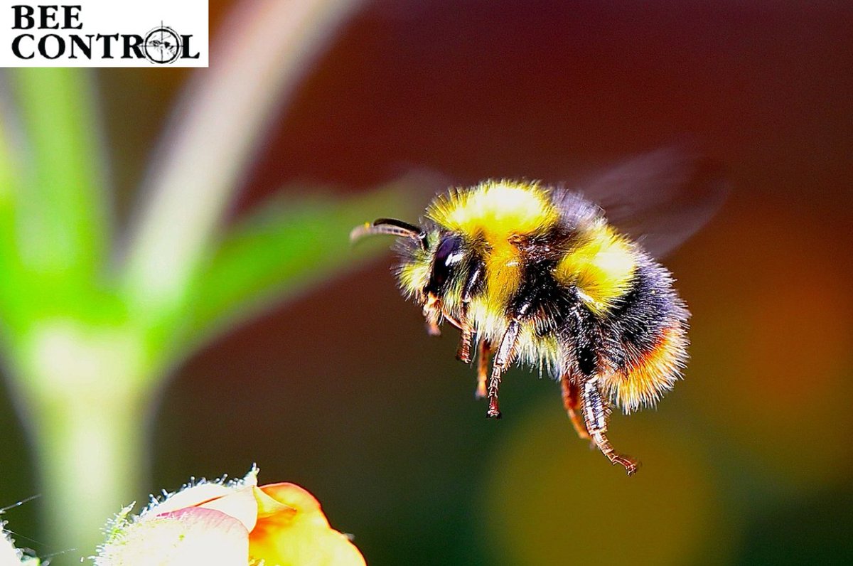 Good morning! We are having issues with AT&amp;T customers being able to reach us. If you need to call, please dial 1-866-466-2899. Thanks!