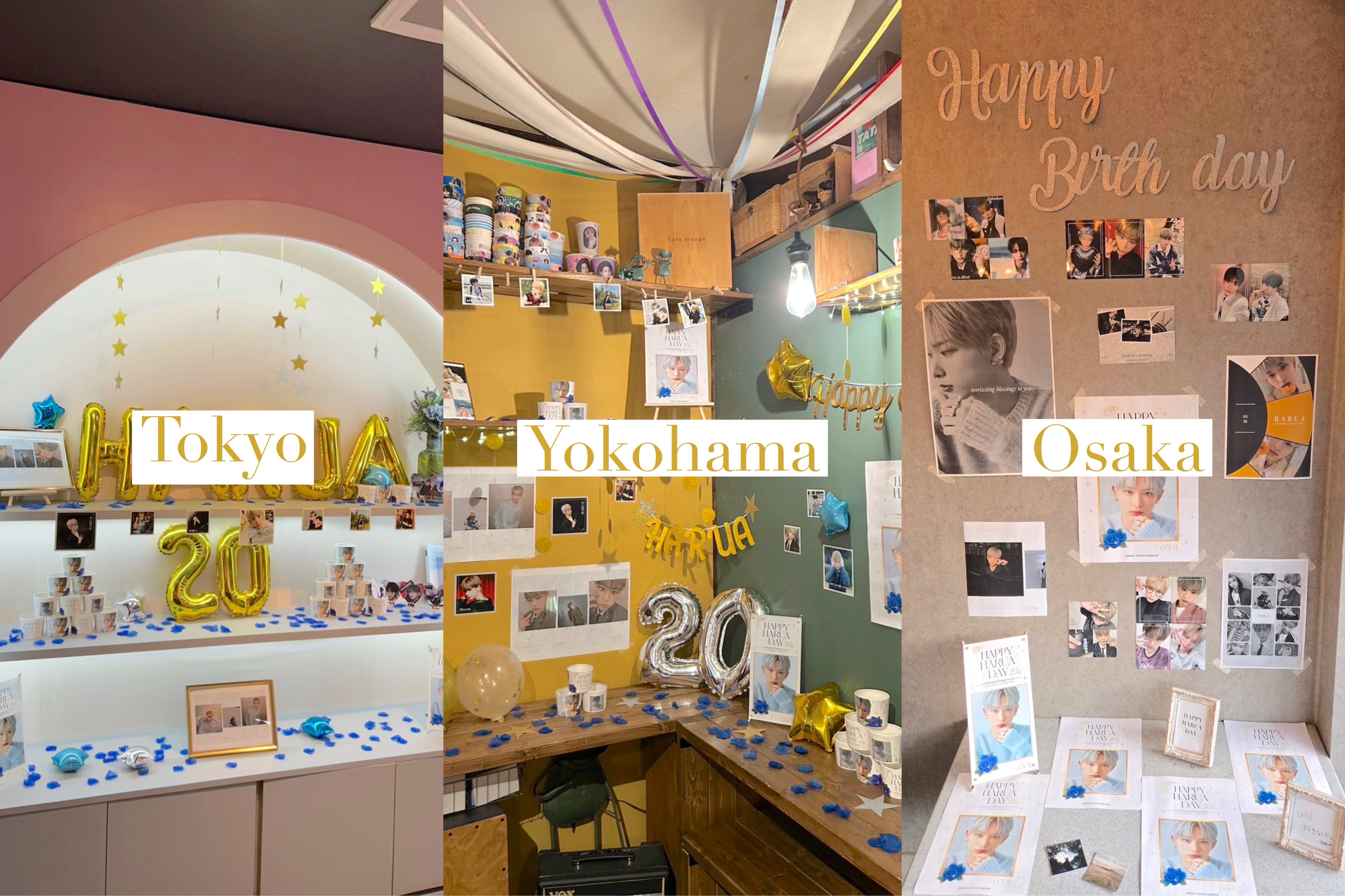 HARUA お誕生日おめでとう 🐰HARUA JPFB Birthday Project -2025- (@HaruaFanbase_jp) / X