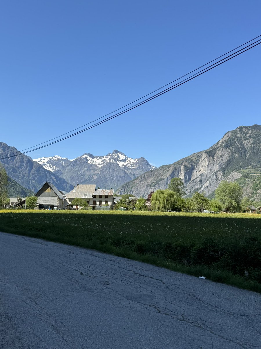 SFN 🇲🇦 tweet media