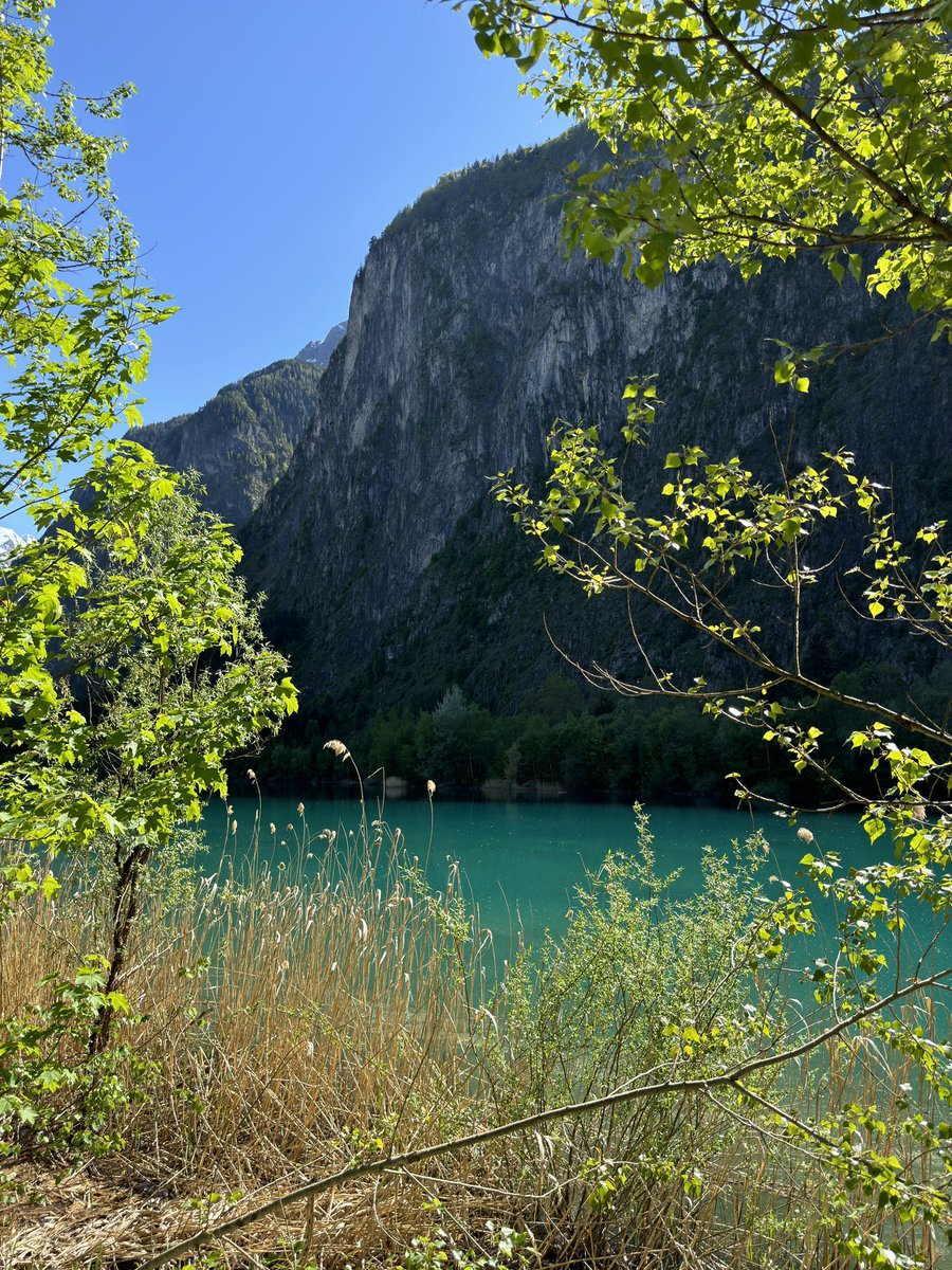 SFN 🇲🇦 tweet media