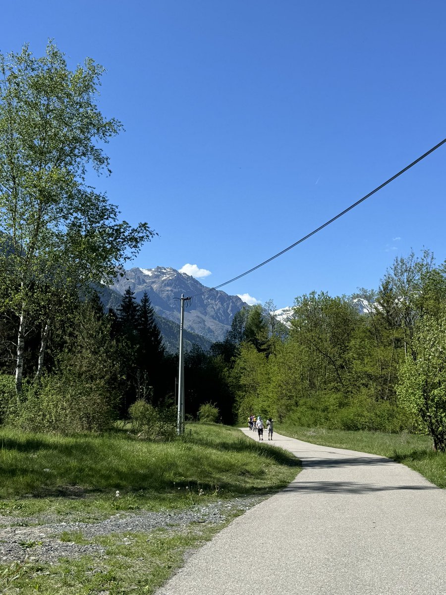 SFN 🇲🇦 tweet media