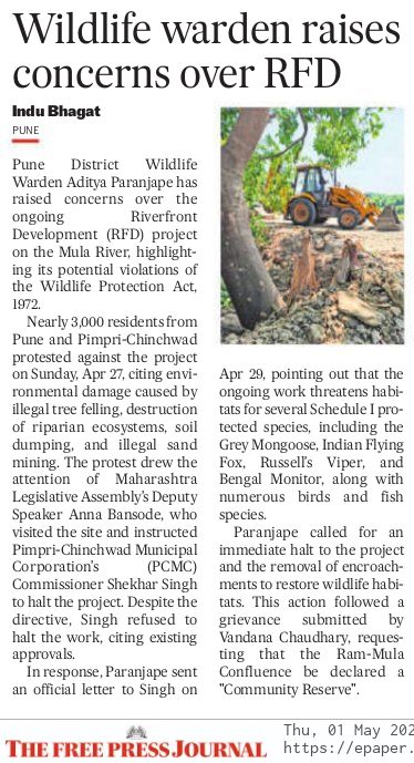 Warrior Moms Maharashtra (@wmmaharashtra) on Twitter photo Pune Honorary Wildlife Warden Urges PCMC To Stop Riverfront Project Over Risk To Protected Species
#SaveRamMulaDevrai
<a href="/CMOMaharashtra/">CMO Maharashtra</a> <a href="/moefcc/">MoEF&CC</a> @mahaforest <a href="/KVSinghMPGonda/">Kirti Vardhan Singh</a> <a href="/NaikSpeaks/">Ganesh Naik</a>
<a href="/vandymini/">Vandana Chaudhary</a> <a href="/mhemachari/">Hema Chari Madabhushi</a> <a href="/warriormoms/">Katherine Stone</a>
via <a href="/indu_bhagat/">Indu bhagat</a> freepressjournal.in/pune/pune-hono… Pune Honorary Wildlife Warden Urges PCMC To Stop Riverfront Project Over Risk To Protected Species
#SaveRamMulaDevrai
<a href="/CMOMaharashtra/">CMO Maharashtra</a> <a href="/moefcc/">MoEF&CC</a> @mahaforest <a href="/KVSinghMPGonda/">Kirti Vardhan Singh</a> <a href="/NaikSpeaks/">Ganesh Naik</a>
<a href="/vandymini/">Vandana Chaudhary</a> <a href="/mhemachari/">Hema Chari Madabhushi</a> <a href="/warriormoms/">Katherine Stone</a>
via <a href="/indu_bhagat/">Indu bhagat</a> freepressjournal.in/pune/pune-hono…