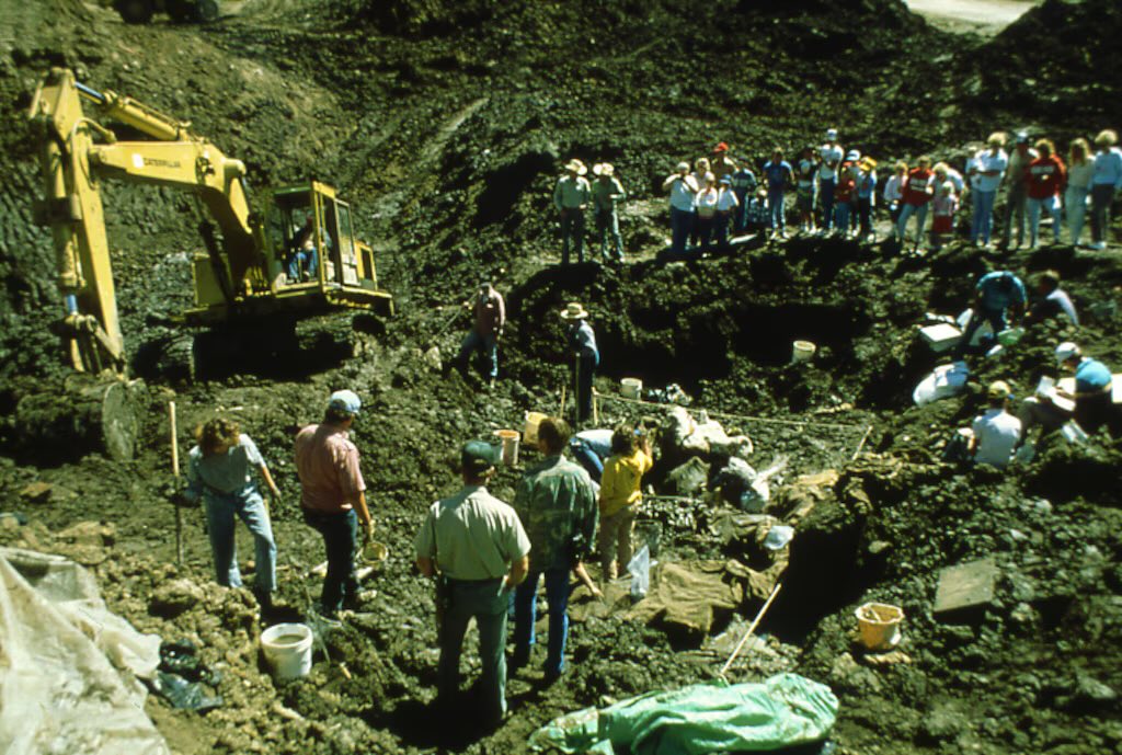 “Mammoths were all over the state.”

What is the history of mammoths in Utah?

Meet the scientists who really care about Utah Hockey Club’s (potential) new name: sltrib.com/sports/utah-ho…