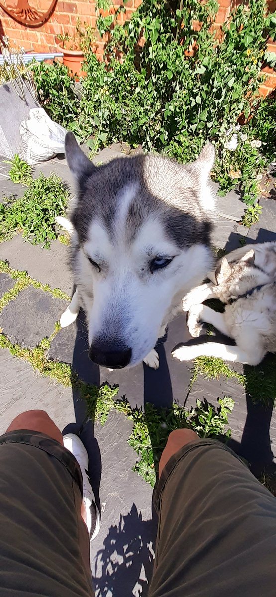 4k Freelance - 4k UHD - HD Digital Creative Media tweet media