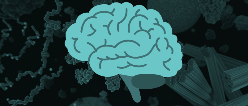 BioTechniques (@mybiotechniques) on Twitter photo Researchers from <a href="/NorthwesternU/">Northwestern</a> and <a href="/ucsantabarbara/">UC Santa Barbara</a> have created the first synthetic fragment of tau protein, potentially revealing more about the diagnosis and treatment of tauopathies.>>> biotechniques.com/neuroscience/m… Researchers from <a href="/NorthwesternU/">Northwestern</a> and <a href="/ucsantabarbara/">UC Santa Barbara</a> have created the first synthetic fragment of tau protein, potentially revealing more about the diagnosis and treatment of tauopathies.>>> biotechniques.com/neuroscience/m…