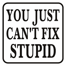 SteveMan6300000's tweet photo. @EndWokeness @JasmineForUS https://t.co/g6pqrnFPPw